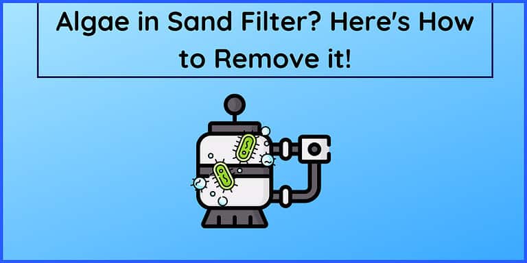 Algae in Sand Filter? Here’s How to Remove it