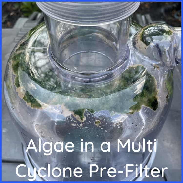 Green Algae in a Multi Cyclone Pre-Filter