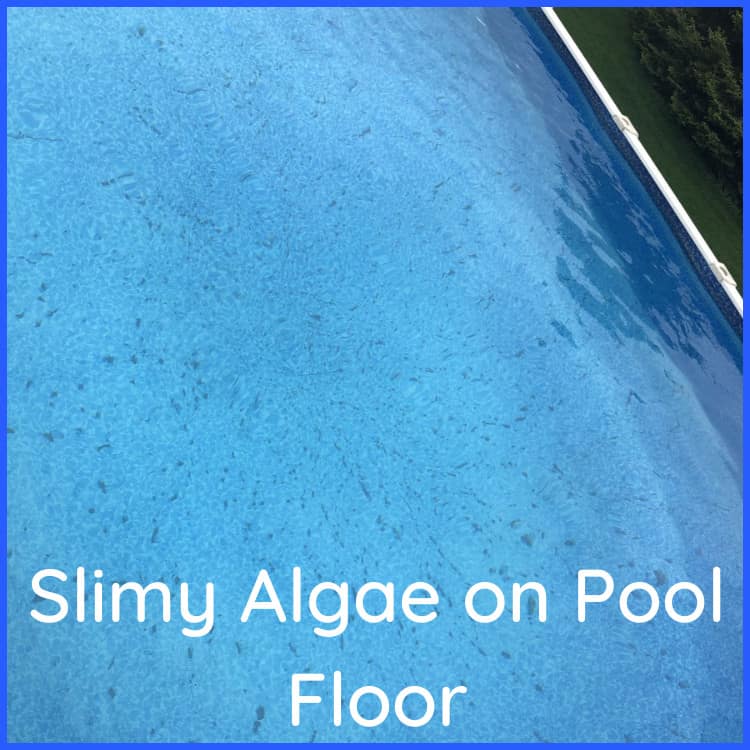Slimy Mustard Algae on Pool Floor